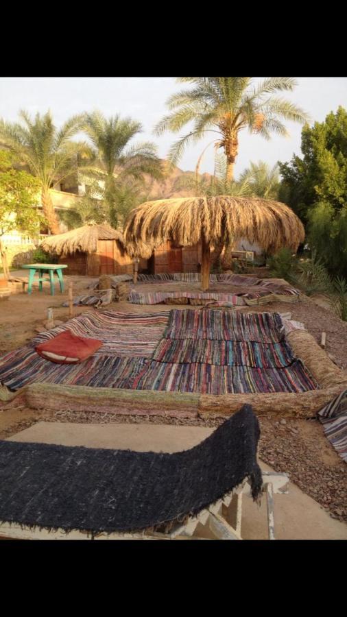 Elbadawy Camp Hotel Nuweiba Exterior photo